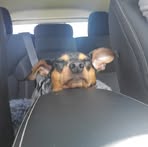 Andrew Groeger - Facebook Profile Picture of Andrew Groeger (@andrew.groeger.9) on Facebook