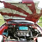 Profile Picture of Cody Ritchey (@charidemusx) on Instagram