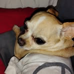 Profile Picture of Mitch Coulter (@Mitch-Coulter) on Facebook