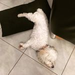Profile Picture of Niculau (@anthony_peck_) on Instagram