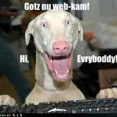 Profile Picture of Nick Cleland YOLO (@nickcleland) on Twitter