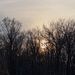 Profile Picture of ac wright (@ac3249) on Pinterest