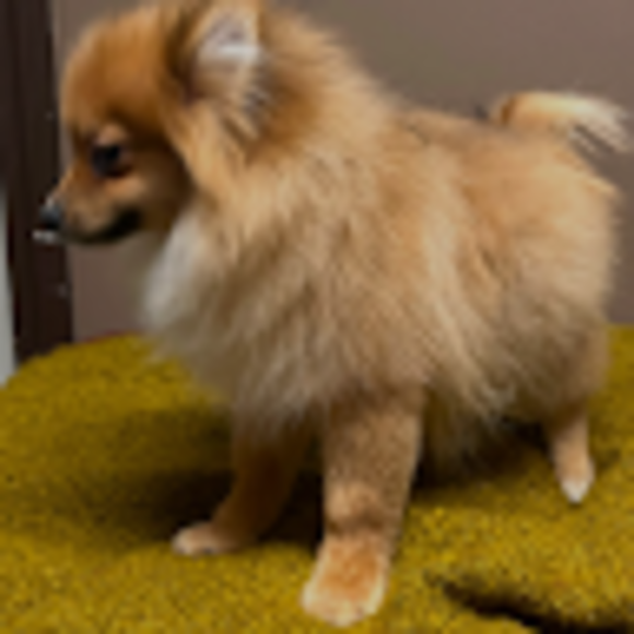 Profile Picture of Grant Retzlaff (@gretzlaff08) on Poshmark