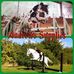 Profile Picture of Beth AndrewsSupplies (@beth.andrewssupplies) on Facebook