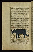 Profile Picture of Karkadannon Wikipedia