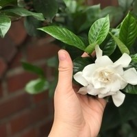 Tracy Moreno  - Quora Profile Picture of Tracy Moreno  (@tracy-moreno-33) on Quora