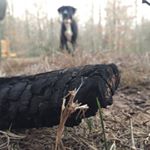 Profile Picture of Cassidy Pierce (@vivir_photography) on Instagram