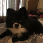 Profile Picture of Robin Cale (@robin.cale.2025) on Facebook