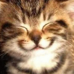 Profile Picture of Marc Duval (@lonewolf717) on Flickr