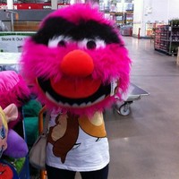 Profile Picture of Fiona Tang (@fiona-tang-3) on Quora