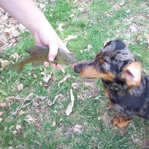 Profile Picture of Simon Shoemaker (@simonmini) on Myspace