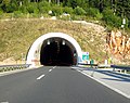 Profile Picture of Plasina Tunnelon Wikipedia