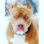 Profile Picture of Jacob smithers (@jacob_smithers6959) on Instagram