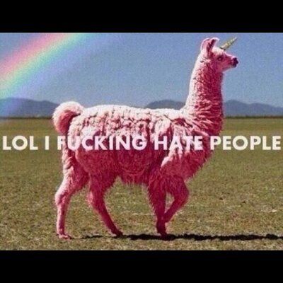 Profile Picture of Dont Follow (@alice_nieves) on Twitter