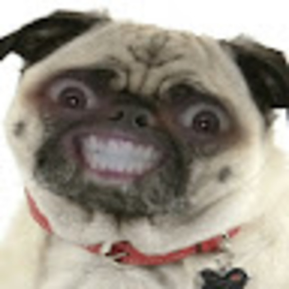 Profile Picture of Cody Roeder (@cookiexantrax) on Poshmark