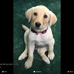 Profile Picture of scott Schulman (@schulmanscott) on Instagram