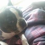 Profile Picture of Kevin Viveiros (@kevin.viveiros.75) on Instagram