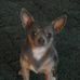 Profile Picture of Angie Spolarich (@Angie-Spolarich) on Facebook