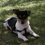 Profile Picture of Fabian L Schlinker (@Fabian-L-Schlinker) on Facebook