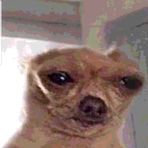 Profile Picture of Andrew Tiscareno (@andrew.tiscareno.9) on Facebook