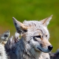 Profile Picture of Alexa Futrell (@alexa-futrell) on Quora