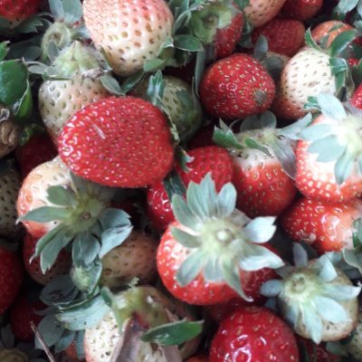 Profile Picture of Ruby Cardona (@RubyCardona15) on Twitter