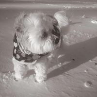 Profile Picture of Joann Rivers (@joann-rivers-2) on Quora