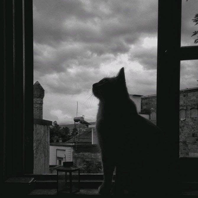 Profile Picture of Bryan Bae (@user32192817593807) on Tiktok