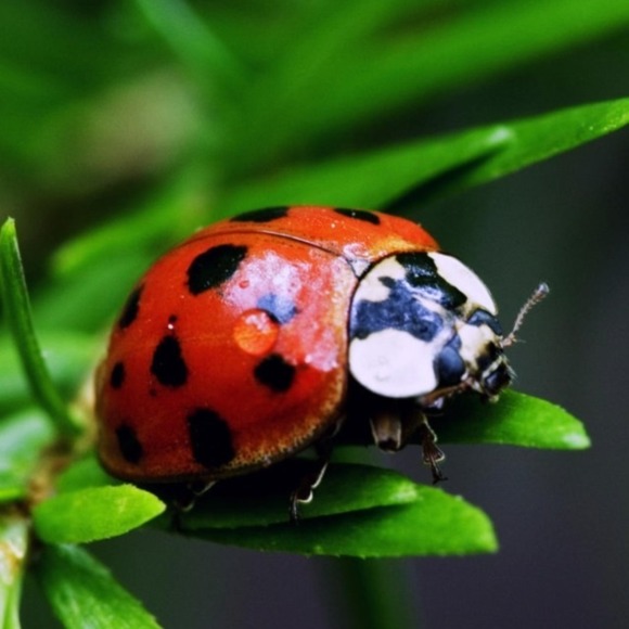 Profile Picture of P Finlan (@pamelafairview) on Poshmark