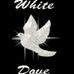 Profile Picture of Basel White Dove (Andl Basel) (@basel.w.dove) on Facebook