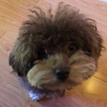 Profile Picture of Janey Kim (@4thabeatz) on Instagram