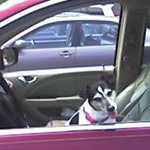 Profile Picture of Tom Latto 3 (@TomLatto3) on Twitter