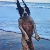 Profile Picture of Dax Thomas (@daxthomas361) on Youtube