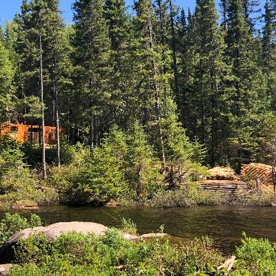 Profile Picture of Jean-Guy Couture (@JeanGuyCouture3) on Twitter