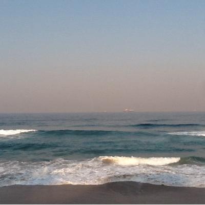 Profile Picture of Anneline (@Annelin84736995) on Twitter