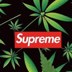 Profile Picture of Dylan Maroney (@dylan.maroney.10) on Facebook