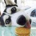 Profile Picture of Nicholas Mcmichael (@nicholas.mcmichael.5) on Facebook