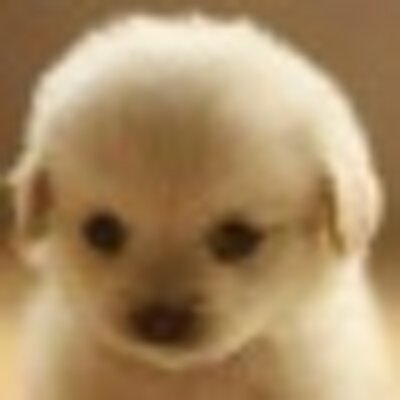 Yaneth Ramirez - Twitter Profile Picture of Yaneth Ramirez (@yanethramirez13) on Twitter