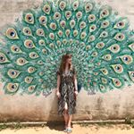Profile Picture of Laura Clarkson (@lauraclarkson) on Instagram