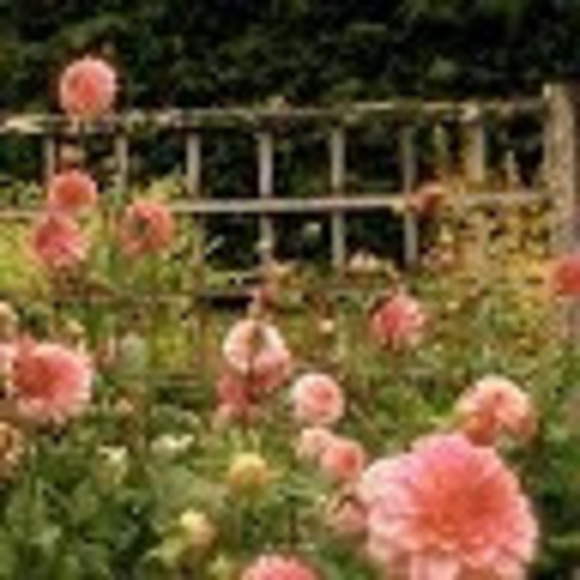 Profile Picture of Claudia Hennum (@claudiahennum) on Poshmark