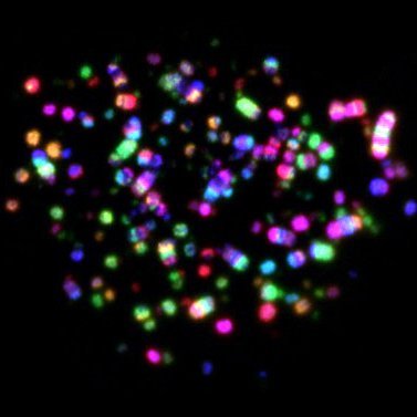 Profile Picture of Peter Ly Lab (@PeterLyLab) on Twitter