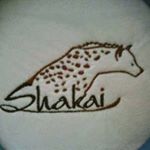 Profile Picture of Shakai Clothing (@shakaiclothing) on Instagram
