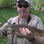 Lawrence Borgosz - Pinterest Profile Picture of Lawrence Borgosz (@borgy53) on Pinterest