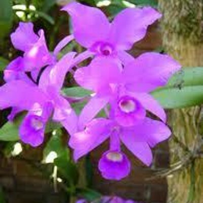 Miriam Latorre Roman - Twitter Profile Picture of Miriam Latorre Roman (@MiriamLatorreRo) on Twitter