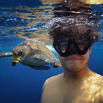 Profile Picture of Nicholas Chew (@nicholas chewy) on Flickr