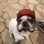 Profile Picture of Naoaki  Uwatoko (@uwatokonaoaki) on Instagram