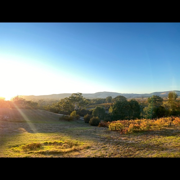 Profile Picture of Tash Wegener (@tashsharee) on Poshmark