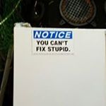 Profile Picture of Paul Sawicki (@paulsawicki79) on Instagram