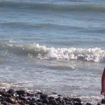 Profile Picture of Lisa Falcetti (@lisapaigefal) on Instagram