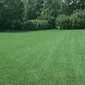 Profile Picture of Sean Bolger (@seanbolger3986) on Youtube